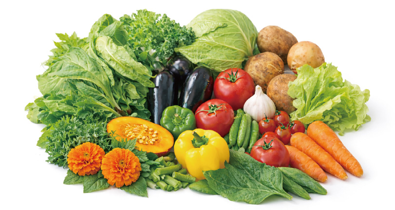 緑黄色野菜のイメージ